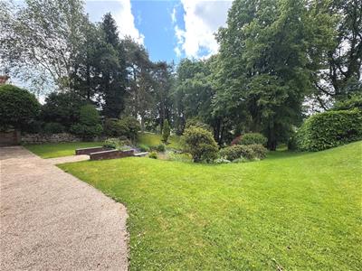 Picture 21